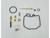 Carburettor repair kit for one carb.